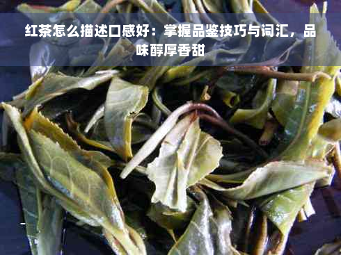 红茶怎么描述口感好：掌握品鉴技巧与词汇，品味醇厚香甜