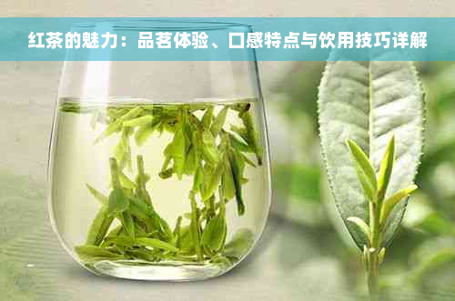 红茶的魅力：品茗体验、口感特点与饮用技巧详解