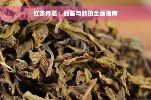 红茶诗意：品鉴与欣的全面指南