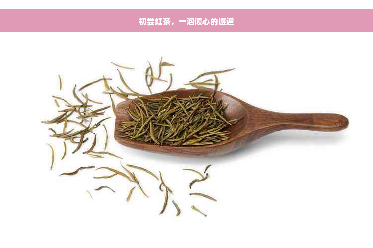 初尝红茶，一泡倾心的邂逅