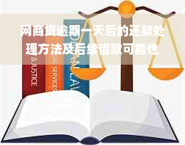 网商贷逾期一天后的还款处理方法及后续借款可能性