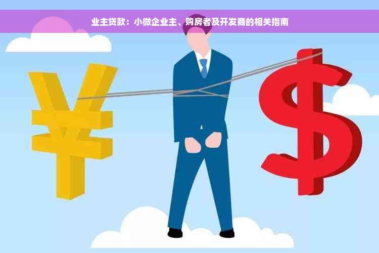 业主贷款：小微企业主、购房者及开发商的相关指南