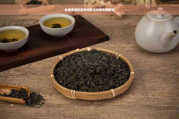 白瑞香茶的品种特性与功效作用解析