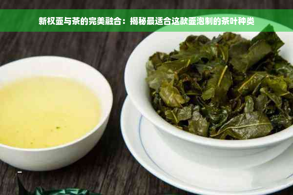 新权壶与茶的完美融合：揭秘最适合这款壶泡制的茶叶种类