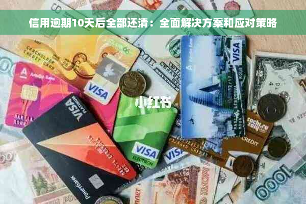 信用逾期10天后全部还清：全面解决方案和应对策略