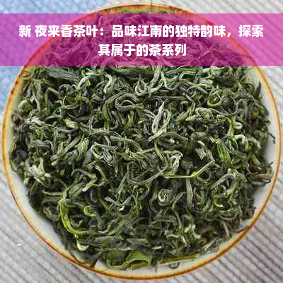 新 夜来香茶叶：品味江南的独特韵味，探索其属于的茶系列