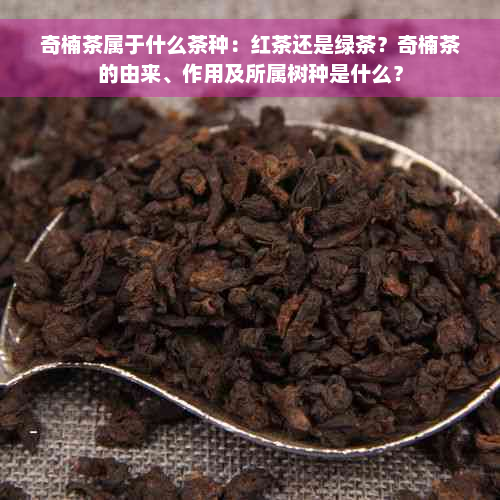 奇楠茶属于什么茶种：红茶还是绿茶？奇楠茶的由来、作用及所属树种是什么？