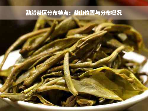 勐腊茶区分布特点：茶山位置与分布概况