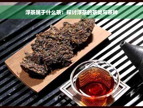 浮茶属于什么茶：探讨浮茶的茶类与茶种