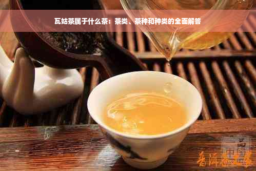 瓦姑茶属于什么茶：茶类、茶种和种类的全面解答