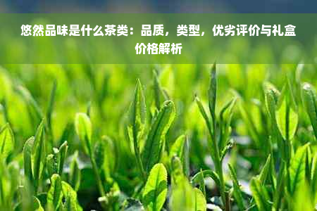 悠然品味是什么茶类：品质，类型，优劣评价与礼盒价格解析