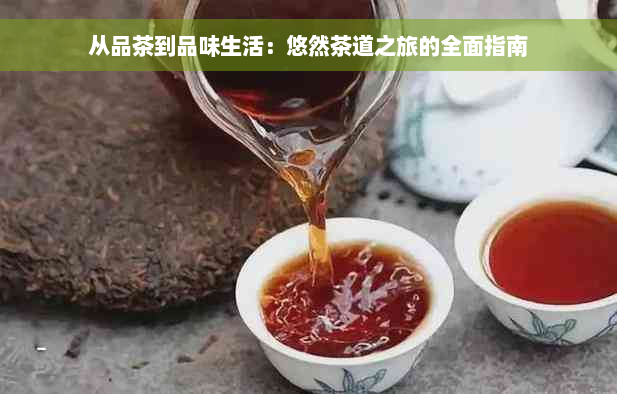 从品茶到品味生活：悠然茶道之旅的全面指南