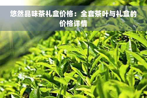 悠然品味茶礼盒价格：全套茶叶与礼盒的价格详情