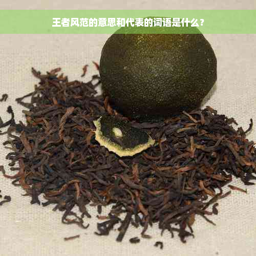 王者风范的意思和代表的词语是什么？