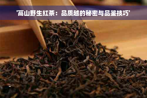 '高山野生红茶：品质越的秘密与品鉴技巧'