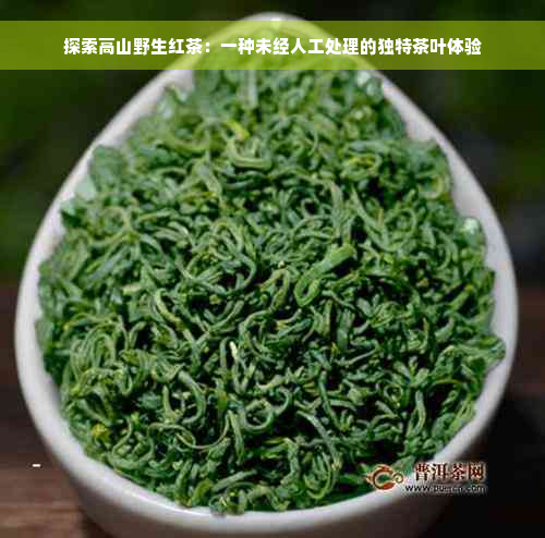 探索高山野生红茶：一种未经人工处理的独特茶叶体验