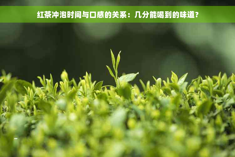 红茶冲泡时间与口感的关系：几分能喝到的味道？