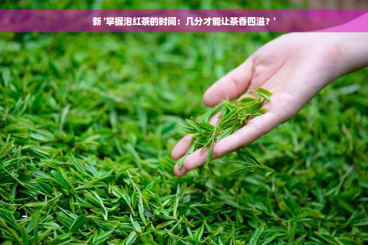 新 '掌握泡红茶的时间：几分才能让茶香四溢？'