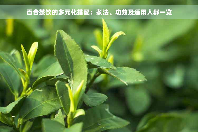 百合茶饮的多元化搭配：煮法、功效及适用人群一览