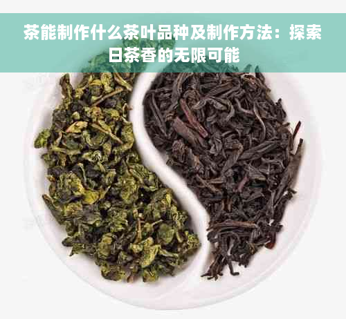 茶能制作什么茶叶品种及制作方法：探索日茶香的无限可能