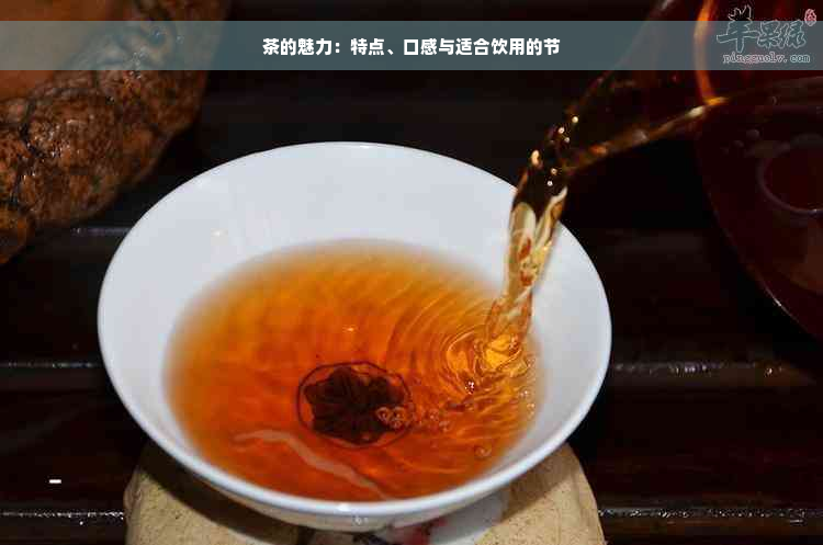 茶的魅力：特点、口感与适合饮用的节