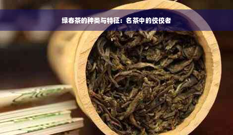 绿春茶的种类与特征：名茶中的佼佼者