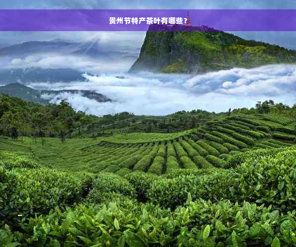 贵州节特产茶叶有哪些？