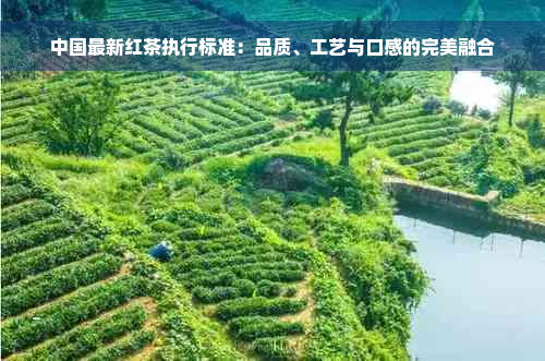 中国最新红茶执行标准：品质、工艺与口感的完美融合