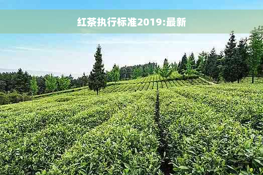 红茶执行标准2019:最新