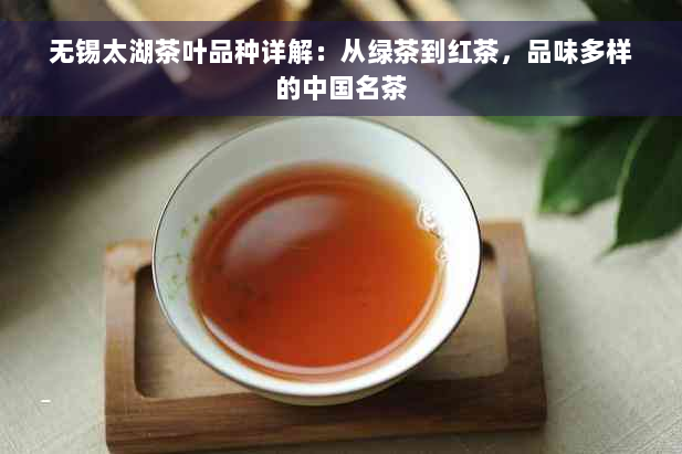 无锡太湖茶叶品种详解：从绿茶到红茶，品味多样的中国名茶