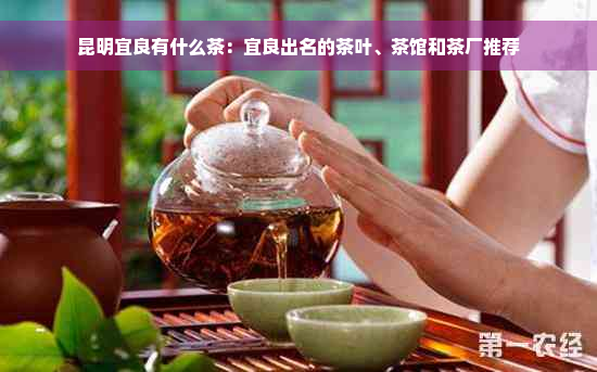 昆明宜良有什么茶：宜良出名的茶叶、茶馆和茶厂推荐