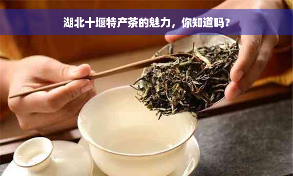 湖北十堰特产茶的魅力，你知道吗？