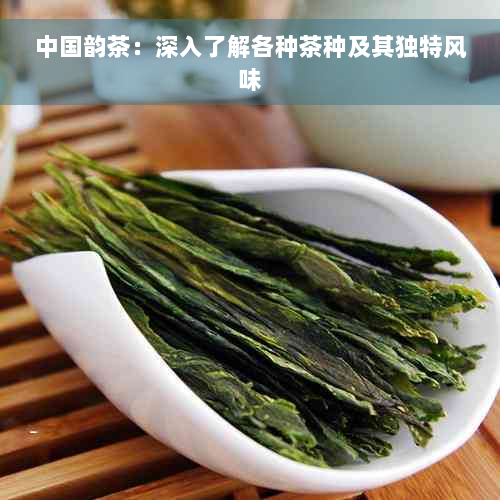 中国韵茶：深入了解各种茶种及其独特风味