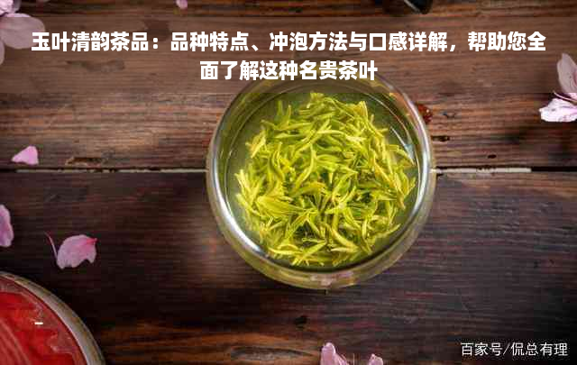 玉叶清韵茶品：品种特点、冲泡方法与口感详解，帮助您全面了解这种名贵茶叶