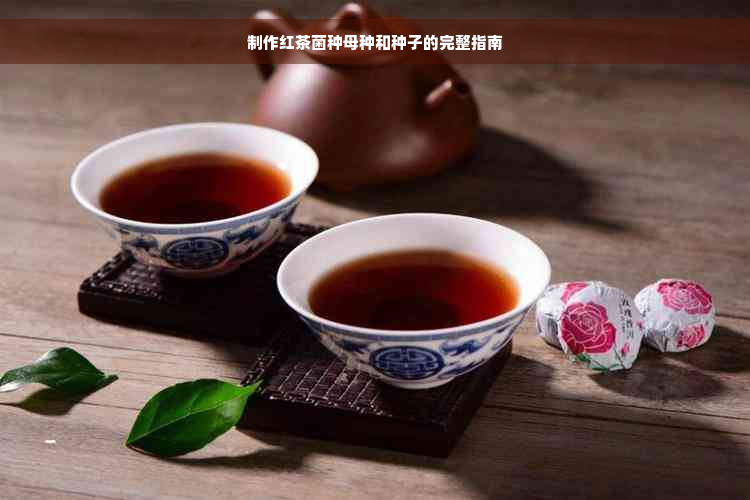 制作红茶菌种母种和种子的完整指南