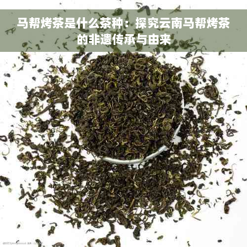 马帮烤茶是什么茶种：探究云南马帮烤茶的非遗传承与由来