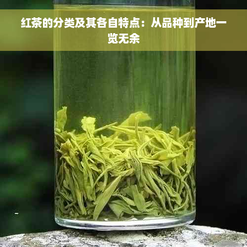 红茶的分类及其各自特点：从品种到产地一览无余