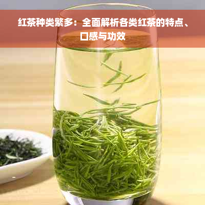 红茶种类繁多：全面解析各类红茶的特点、口感与功效