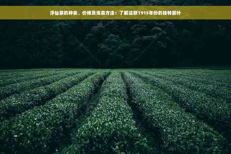 浮仙茶的种类、价格及泡茶方法：了解这款1915年份的独特茶叶