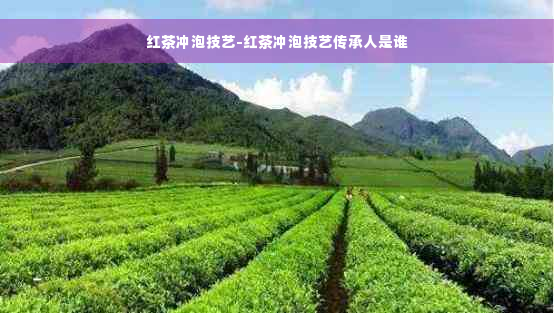 红茶冲泡技艺-红茶冲泡技艺传承人是谁