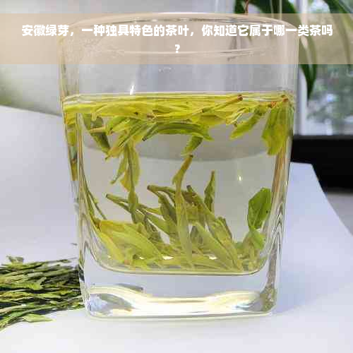 安徽绿芽，一种独具特色的茶叶，你知道它属于哪一类茶吗？