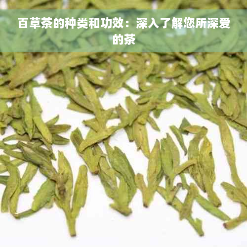 百草茶的种类和功效：深入了解您所深爱的茶