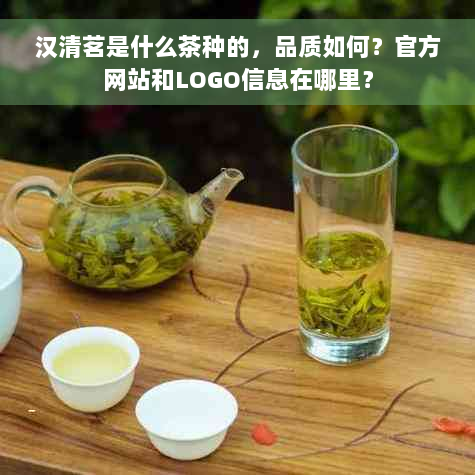 汉清茗是什么茶种的，品质如何？官方网站和LOGO信息在哪里？