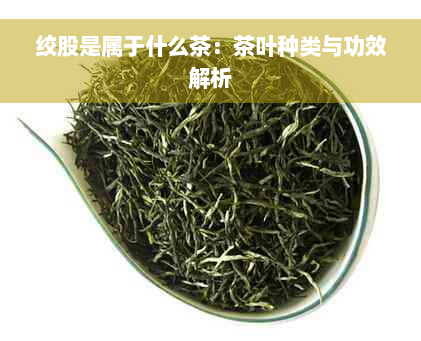 绞股是属于什么茶：茶叶种类与功效解析