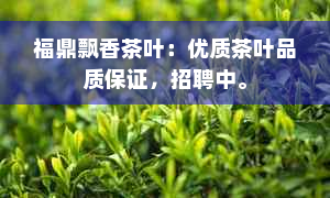 福鼎飘香茶叶：优质茶叶品质保证，招聘中。