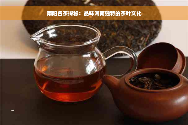 南阳名茶探秘：品味河南独特的茶叶文化