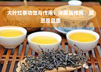 大叶红茶功效与作用：详解其作用、禁忌及品质