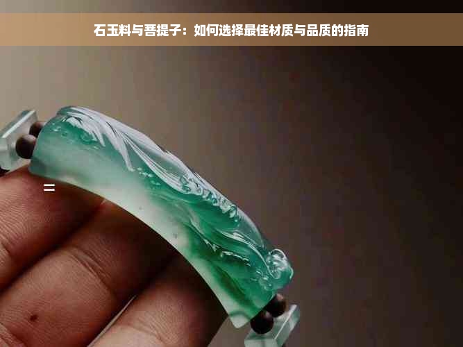 石玉料与菩提子：如何选择更佳材质与品质的指南