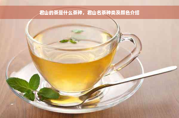 君山的茶是什么茶种，君山名茶种类及颜色介绍