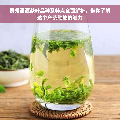 贵州湄潭茶叶品种及特点全面解析，带你了解这个产茶胜地的魅力